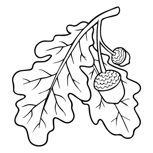 Oak Leaf and Acorns Coloring Page free printable Leaf Coloring Pages coloring page
