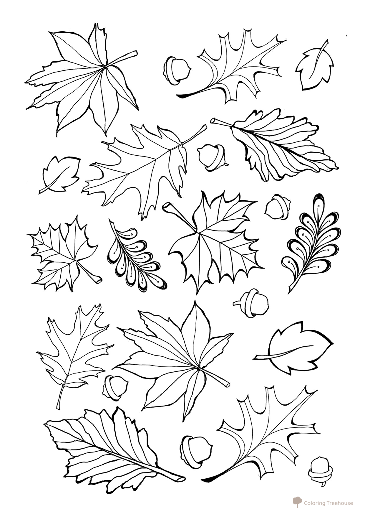 Página para colorear: Collage de hojas dibujo para colorear gratis de Páginas para colorear: hojas de árboles