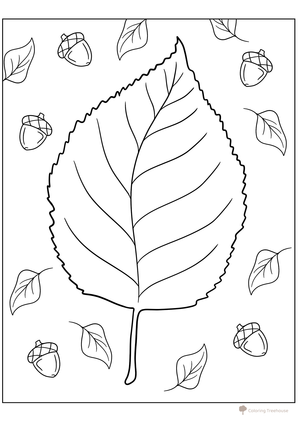 Beautiful Elm Leaf Coloring Page free printable Leaf Coloring Pages coloring page