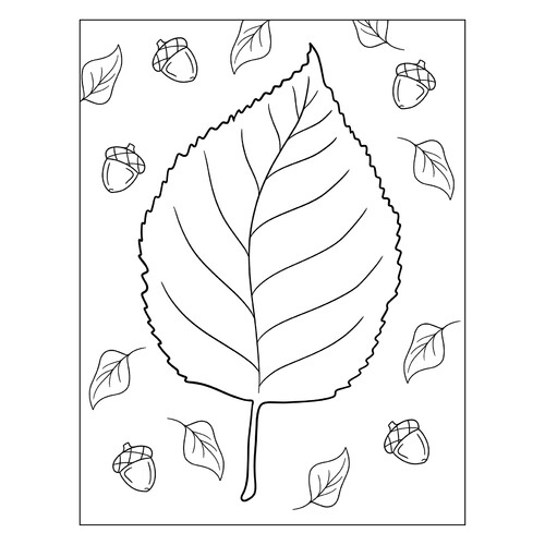 Beautiful Elm Leaf Coloring Page free printable Leaf Coloring Pages coloring page