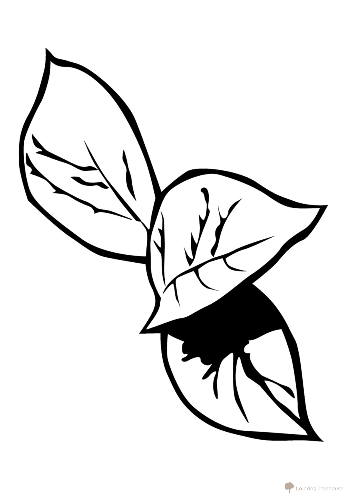 Página para colorear: Hoja de hosta dibujo para colorear gratis de Páginas para colorear: hojas de árboles