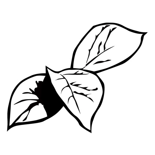 Página para colorear: Hoja de hosta dibujo para colorear gratis de Páginas para colorear: hojas de árboles
