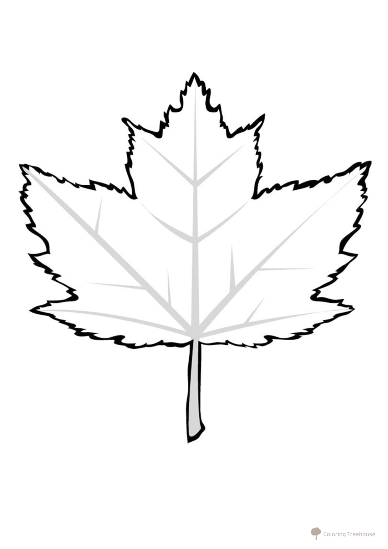 Página para colorear: Hoja de arce rojo dibujo para colorear gratis de Páginas para colorear: hojas de árboles