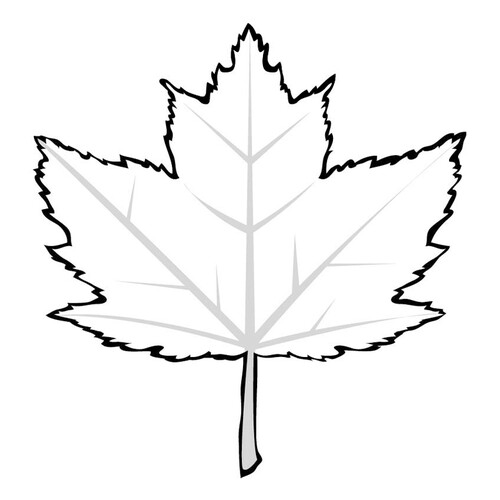 Página para colorear: Hoja de arce rojo dibujo para colorear gratis de Páginas para colorear: hojas de árboles