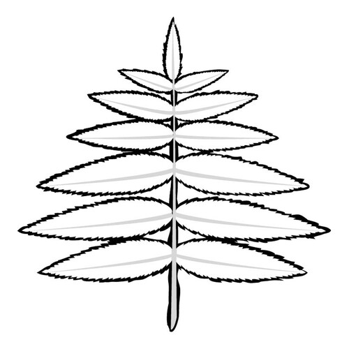 涂色页:漆树叶(Sumac 叶) 免费可打印树叶填色画涂色页