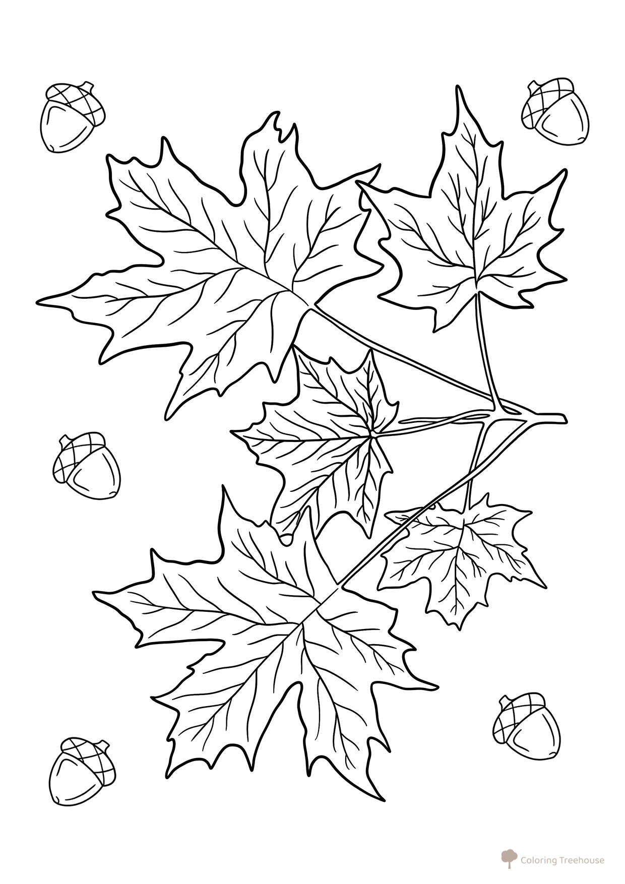 Página para colorear: Hojas otoñales con bellotas dibujo para colorear gratis de Páginas para colorear: hojas de árboles