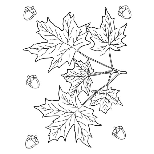 秋天的树叶与橡果 线稿涂色页 免费可打印树叶填色画涂色页