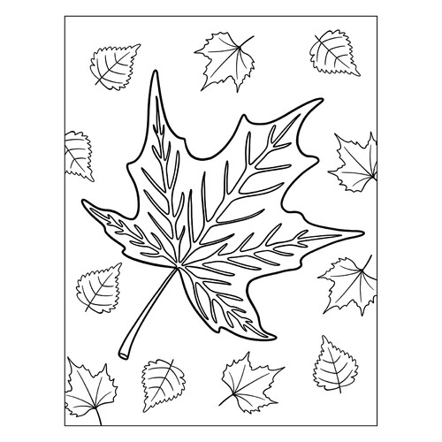 涂色页:秋天的枫叶 免费可打印树叶填色画涂色页