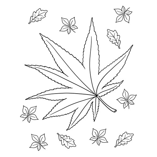 日本枫叶——秋季叶子填色页 免费可打印树叶填色画涂色页