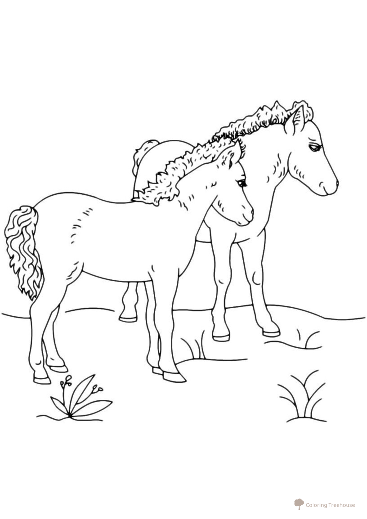 Two Horses Walking Coloring Page free printable Horse and Pony Coloring Pages coloring page