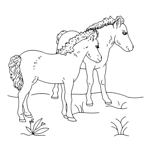 Two Horses Walking Coloring Page free printable Horse and Pony Coloring Pages coloring page
