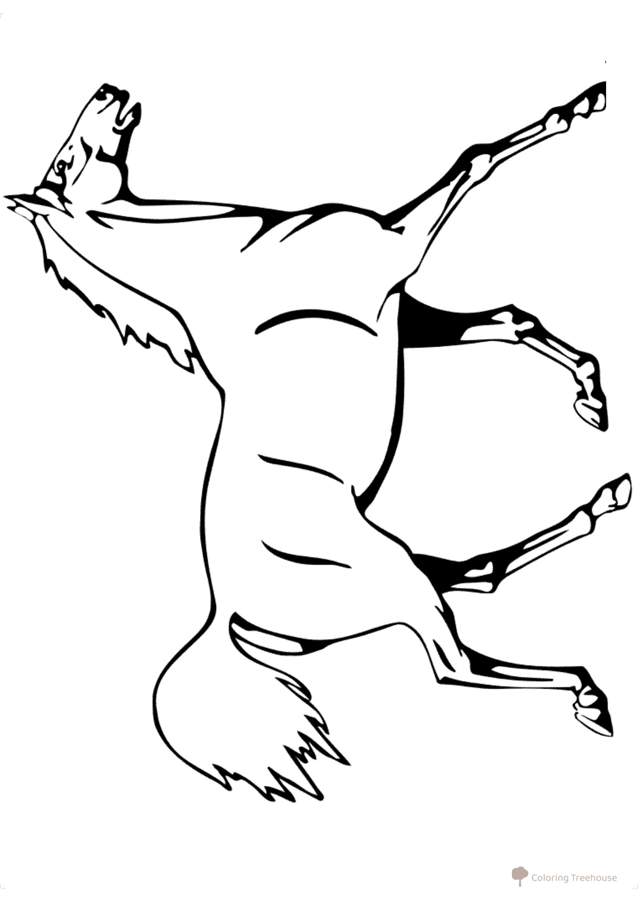 Show Horse Coloring Page free printable Horse and Pony Coloring Pages coloring page