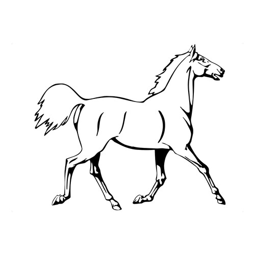 Show Horse Coloring Page free printable Horse and Pony Coloring Pages coloring page