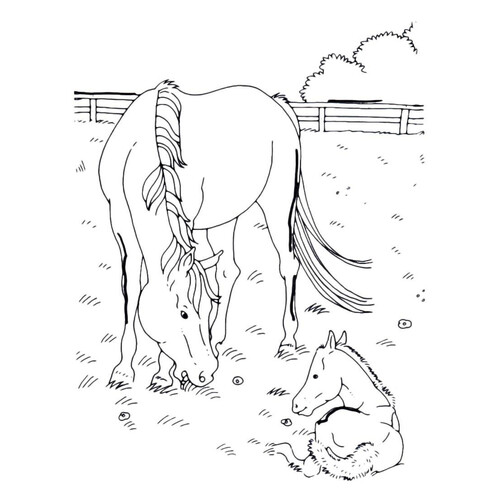 Página para colorear: Caballo con su cría dibujo para colorear gratis de Páginas para colorear: caballos y ponis