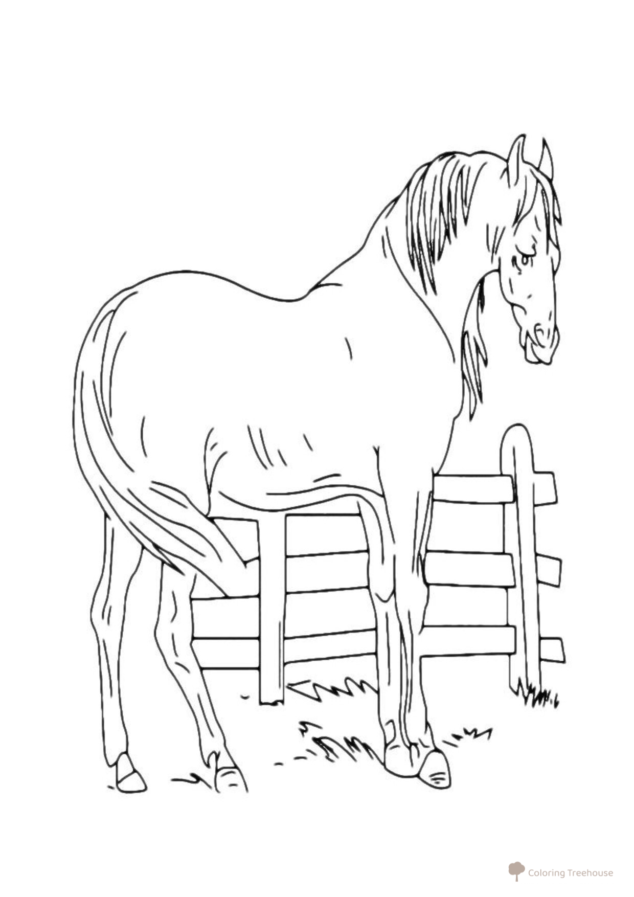 Horse Behind the Fence Coloring Page free printable Horse and Pony Coloring Pages coloring page