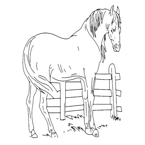Horse Behind the Fence Coloring Page free printable Horse and Pony Coloring Pages coloring page