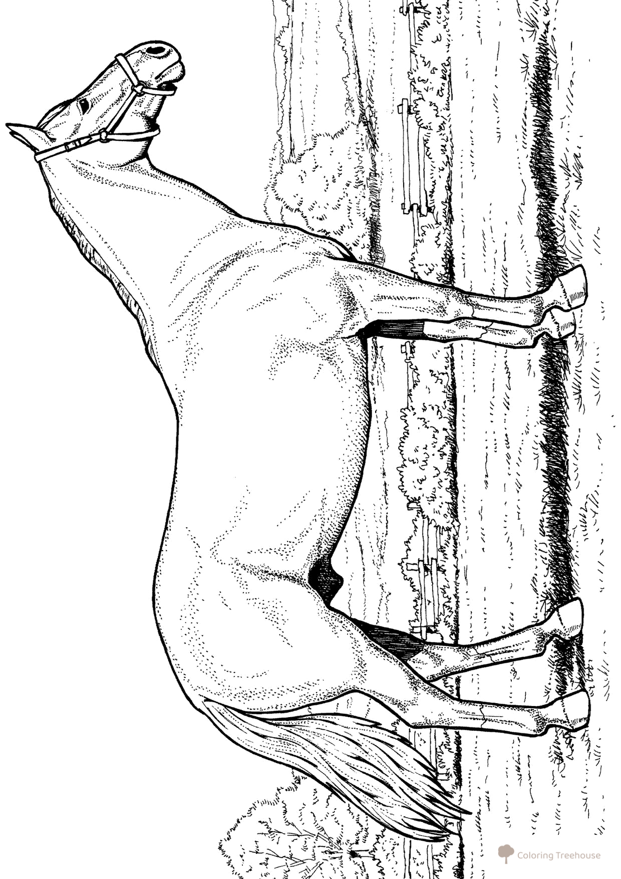 Dibujo para colorear: Semental dibujo para colorear gratis de Páginas para colorear: caballos y ponis
