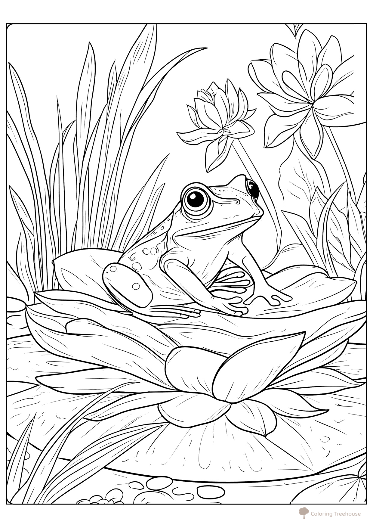 Página para colorear «La rana en el lirio» dibujo para colorear gratis de Páginas para colorear de ranas