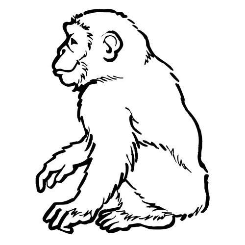 Página para colorear: Chimpancé dibujo para colorear gratis de Páginas para colorear de monos para niños