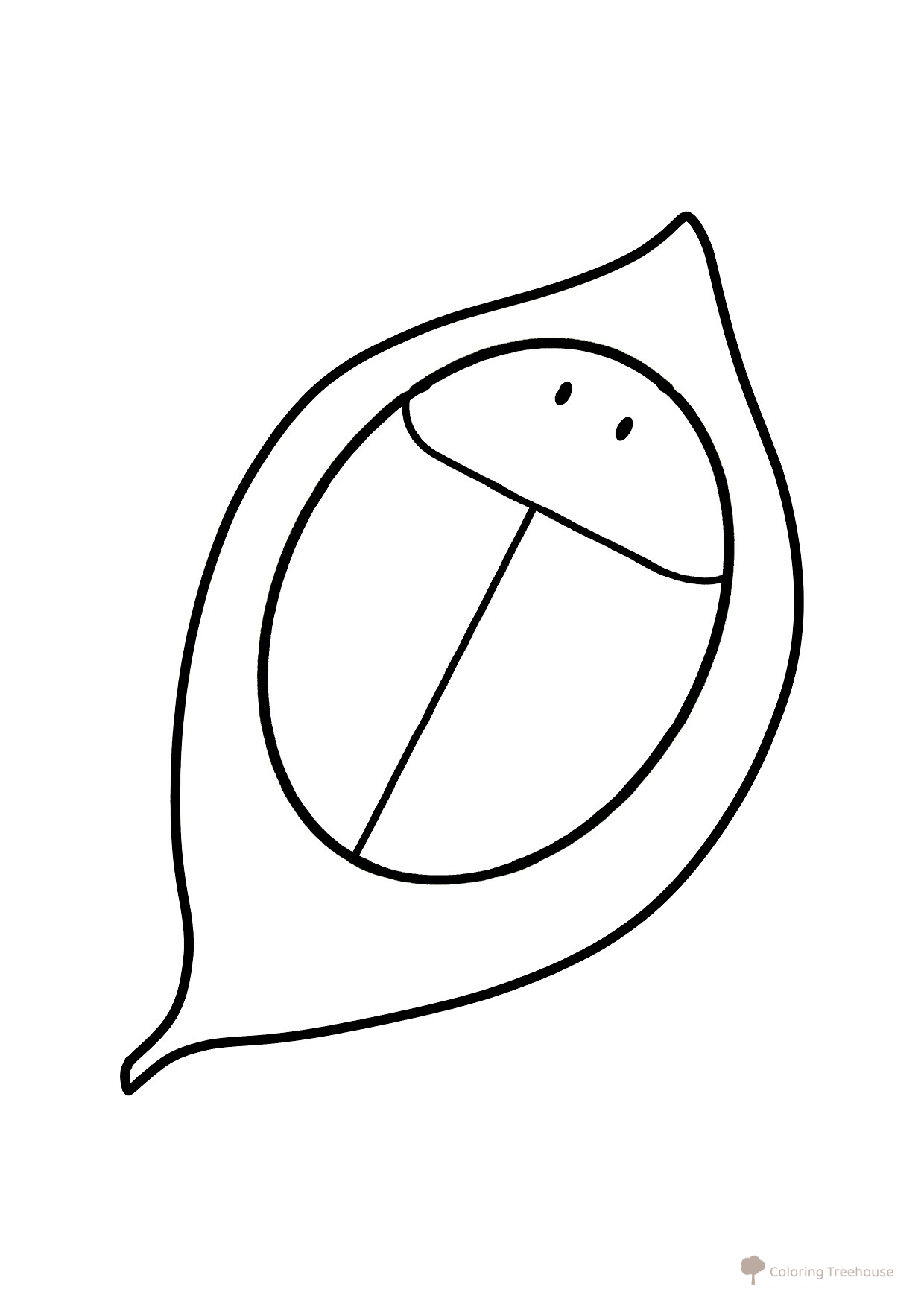 Tortoise Beetle Hiding Its Legs Coloring Page free printable Insect Coloring Pages for Toddlers coloring page
