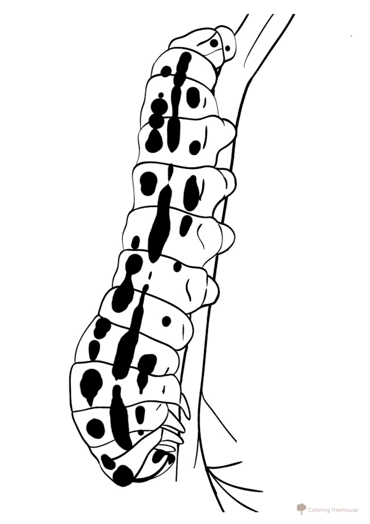 Página para colorear: Oruga dibujo para colorear gratis de Páginas para colorear de insectos