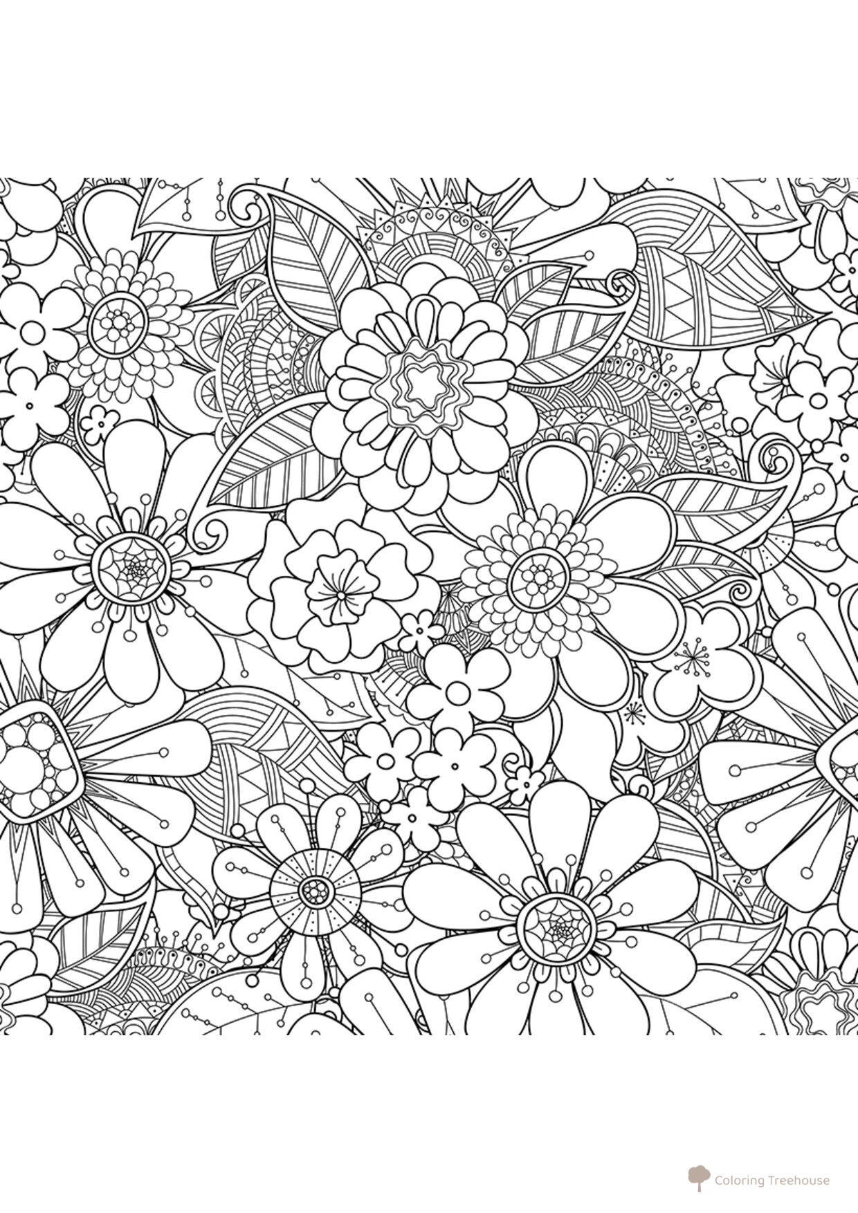 Colorear Antiestrés: Maravillosas Margaritas dibujo para colorear gratis de Anti-Stress Coloring Pages