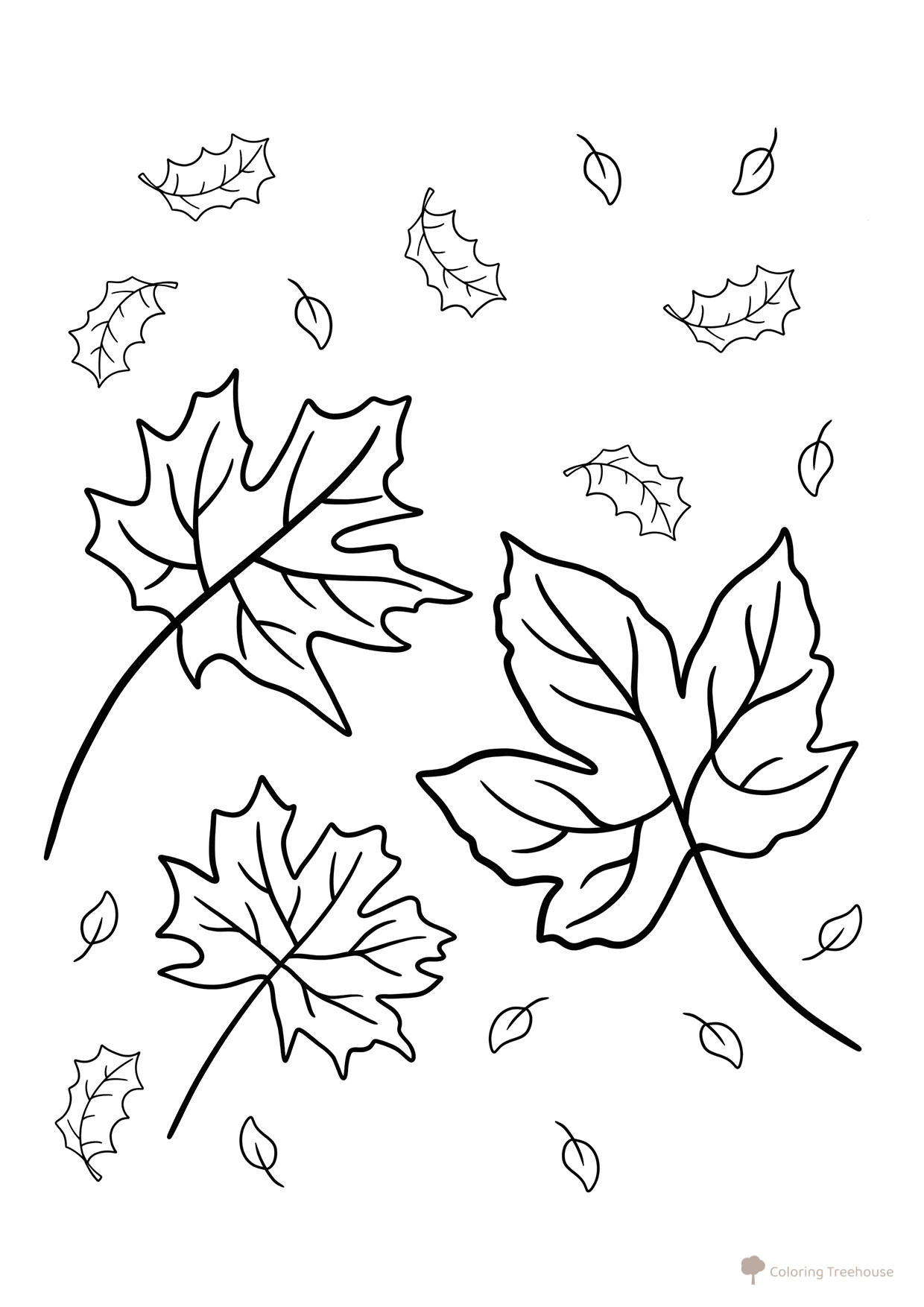 Libro para colorear Grandes y hermosas hojas de otoño dibujo para colorear gratis de Páginas para colorear: Otoño