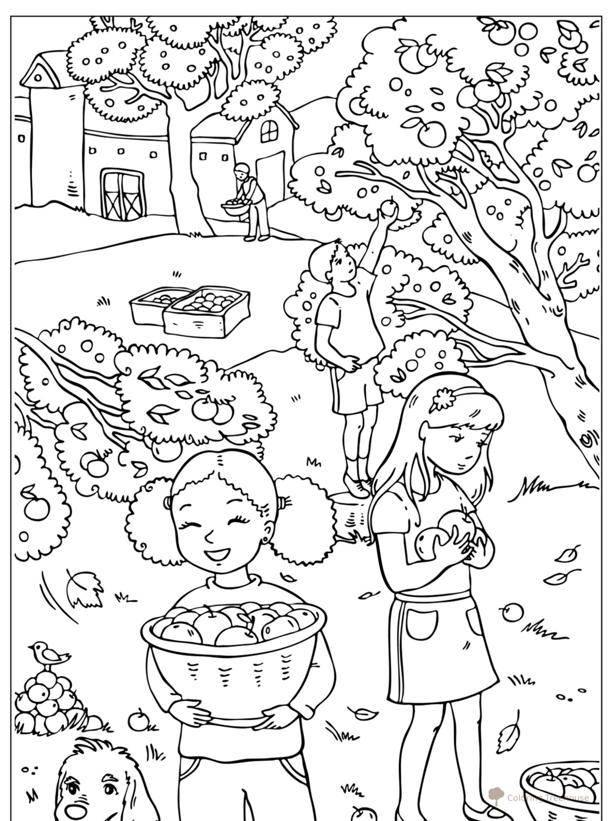 Autumn Apple Harvest Coloring Page free printable Autumn Coloring Pages coloring page