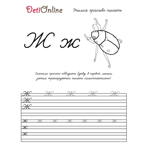 Letra Ж — caligrafía y dibujo para colorear: Escarabajo dibujo para colorear gratis de Cuadernos de caligrafía para colorear