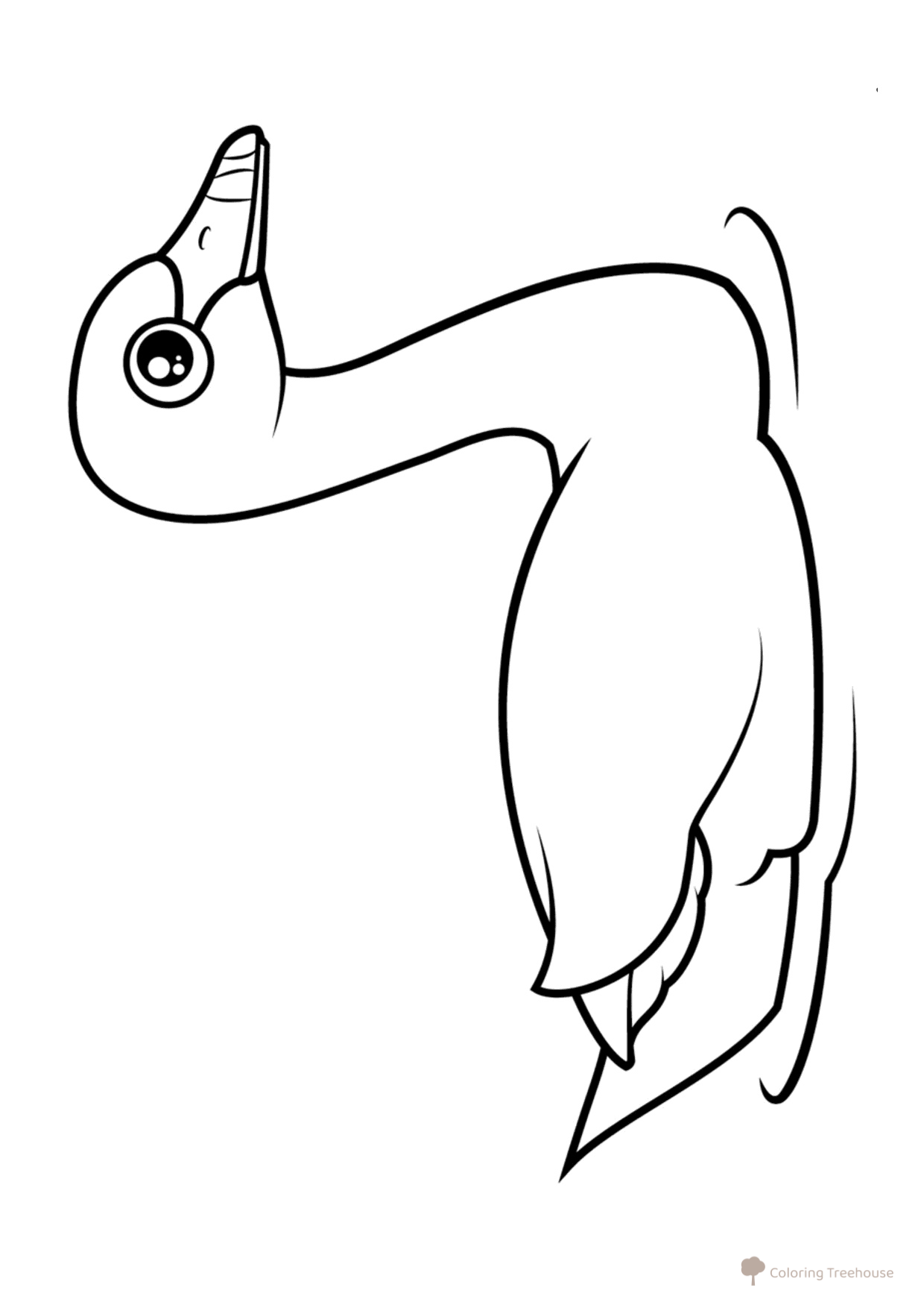 Página para colorear Cisne negro dibujo para colorear gratis de Páginas para colorear: aves