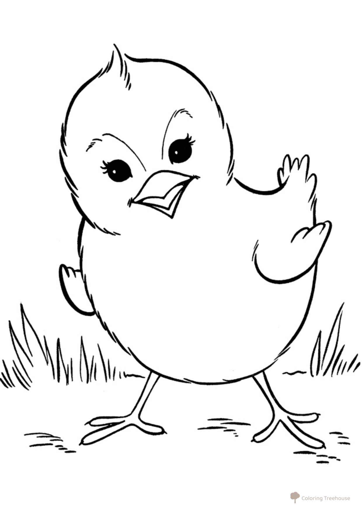 Página para colorear: Pollito dibujo para colorear gratis de Páginas para colorear: aves