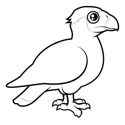 Karakara — раскраска dibujo para colorear gratis de Páginas para colorear: aves