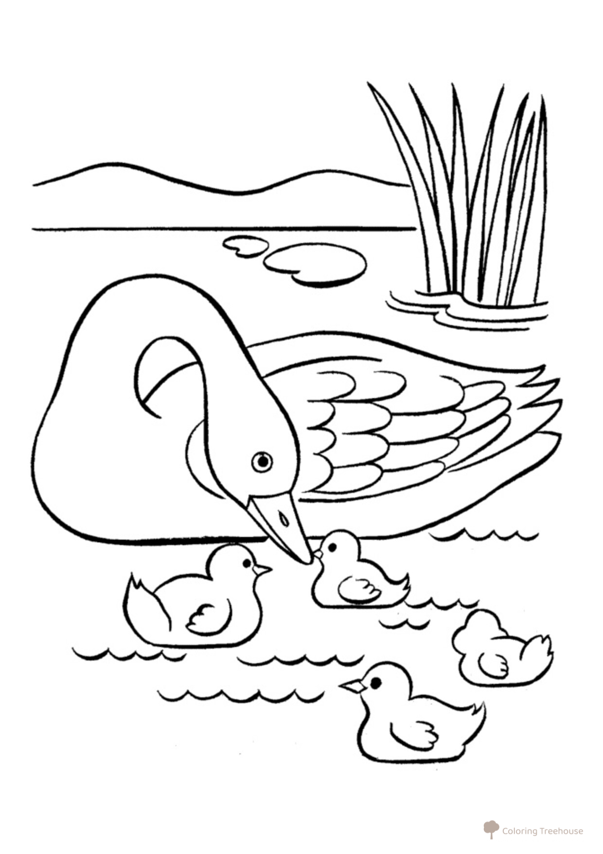 Pato con patitos en el estanque - página para colorear dibujo para colorear gratis de Páginas para colorear: aves