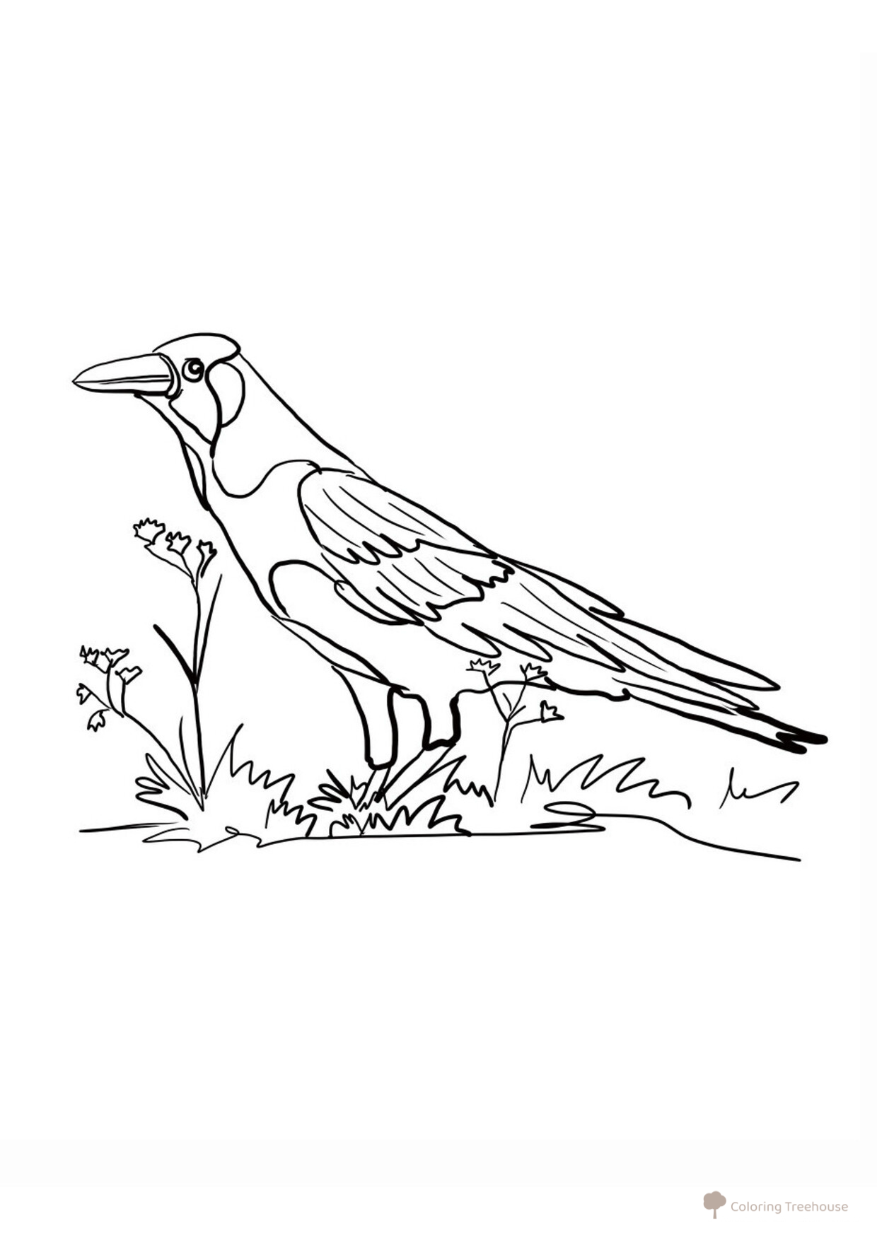Crow on the Meadow Coloring Page free printable Bird Coloring Pages coloring page