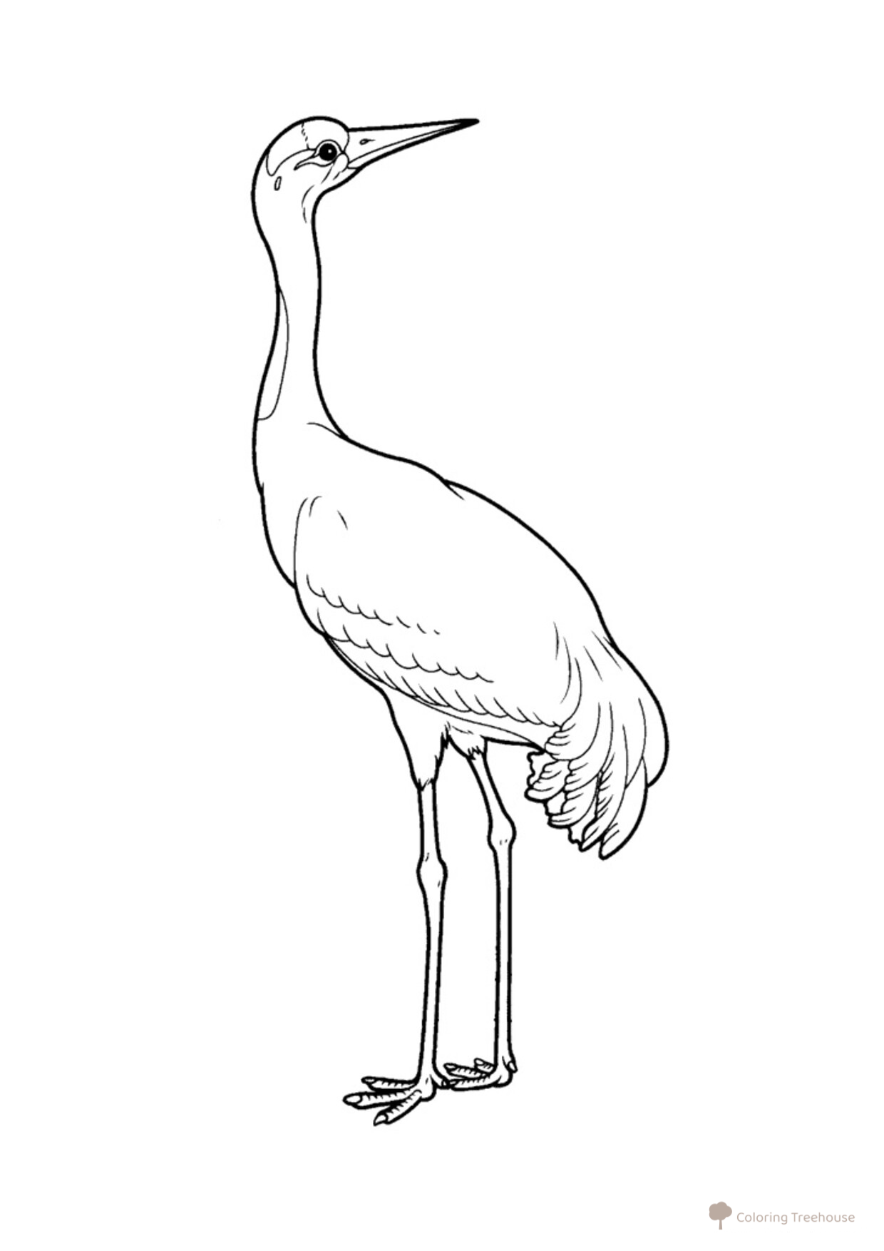 Crane Coloring Page free printable Bird Coloring Pages coloring page