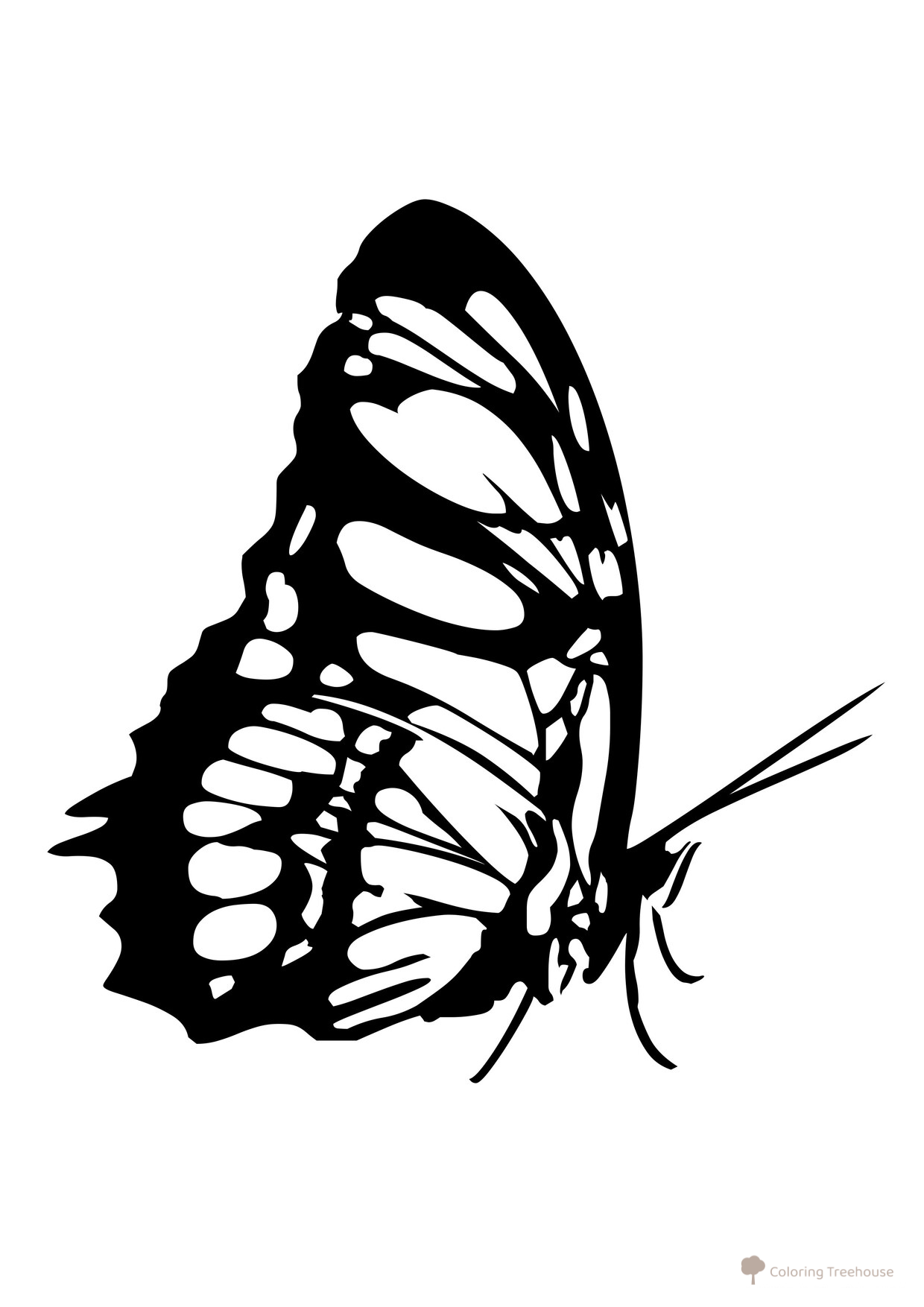 Página para colorear: Mariposa comiendo dibujo para colorear gratis de Mariposas – láminas para colorear. Mariposas y flores
