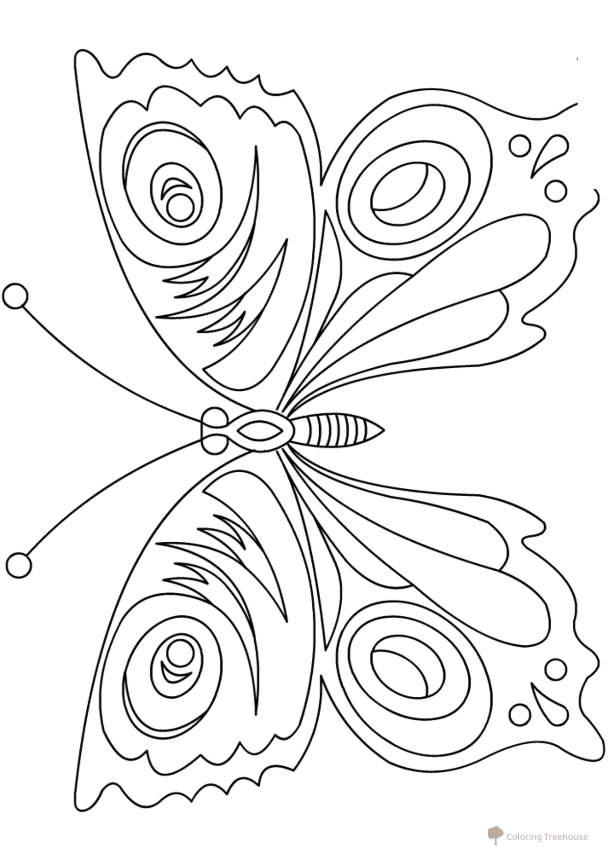 Página para colorear: Mariposa con elegante patrón en las alas dibujo para colorear gratis de Mariposas – láminas para colorear. Mariposas y flores