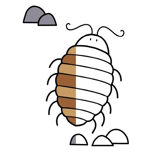 Insect Coloring Pages for Toddlers