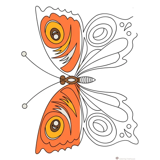 Butterfly Coloring Pages and Flowers