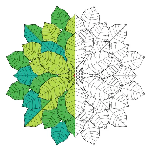 Snowflake Coloring Pages – Winter Patterns